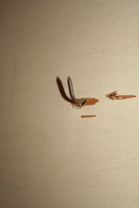 a handy nail cum hook