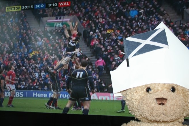 buddy at the rugby (well sort of)