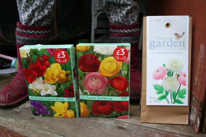 ready for summer blooms