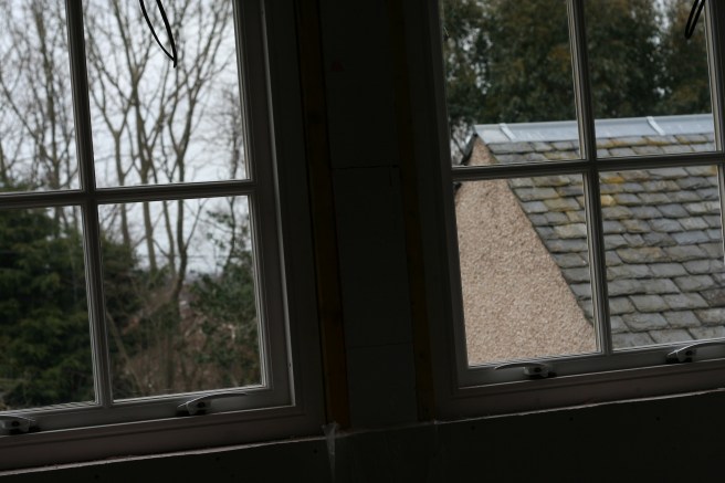 looking out the back window