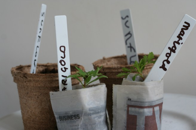 treasures from the botanics