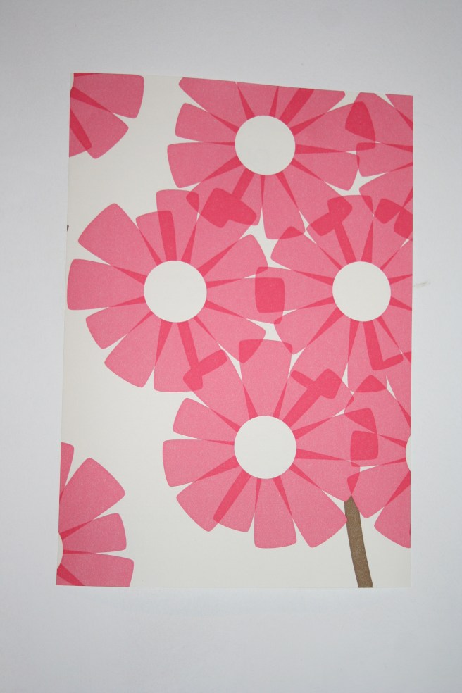 big flowers (a bit washed out colour wise)