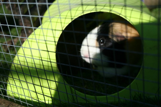 even Candy was out today.