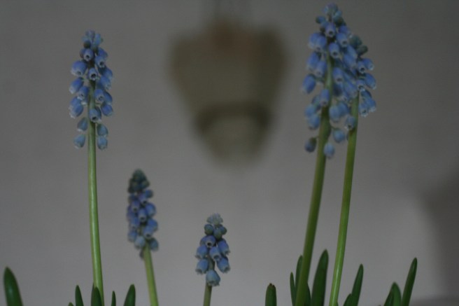 little extra nature in the home