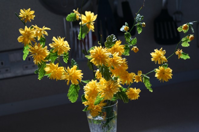 batchelors buttons 008