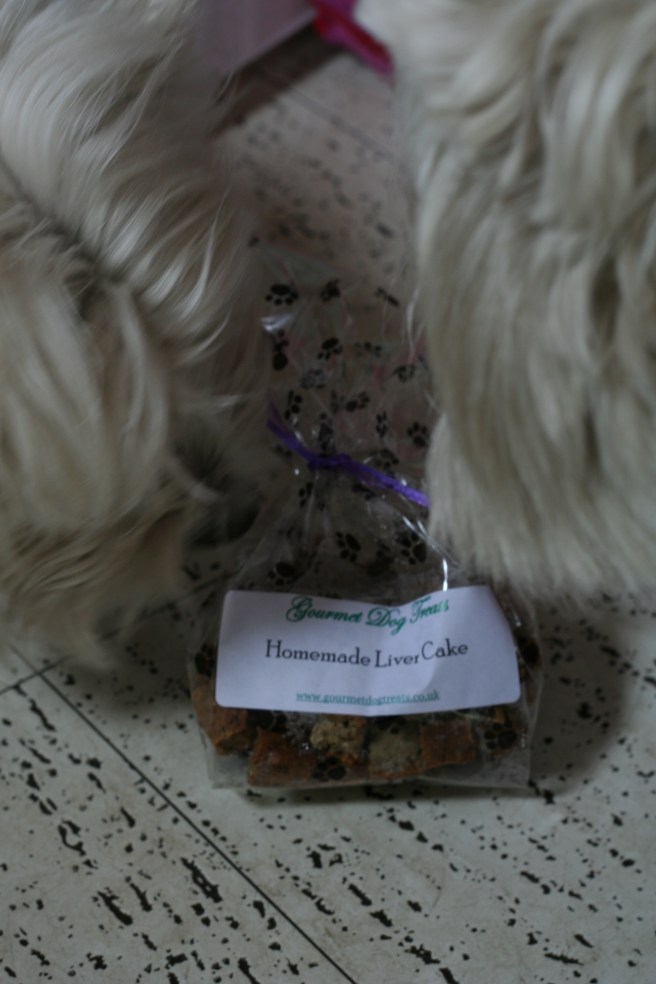 the dogs' daft 'sister' bought them a very indulgent treat from Stockie market.