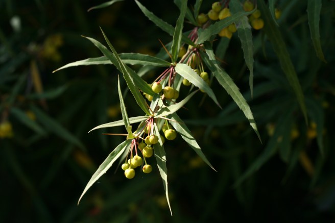 check out those spikes
