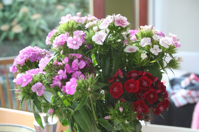 cheap and cheerful present to self from the supermarket last week