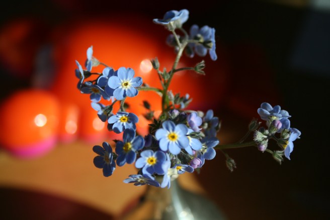  perfectly formed tiny flowers