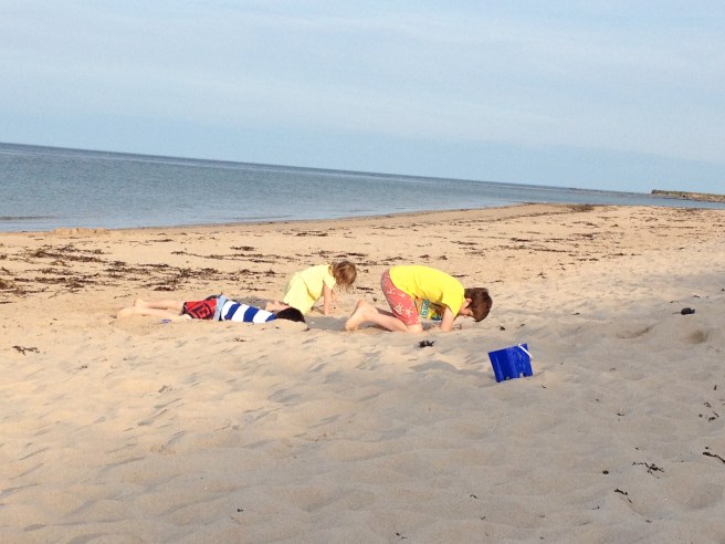 what are they doing?