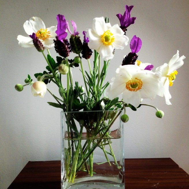 A little posy from the garden