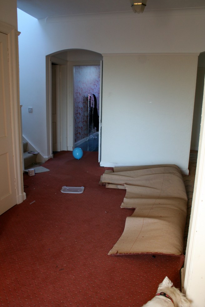 half way through the carpet removal, I smiled the whole time I did this job, I have waited SO long for this was my thought.