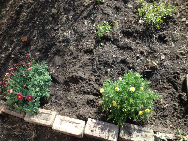 All the seeds are in the ground, invisibly doing their stuff.