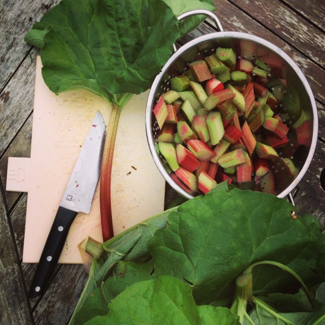 First rhubarb harvested - made a splendid crumble.